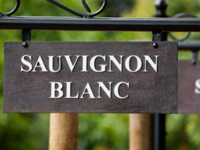 Sauvignon Blanc - More than Marlborough